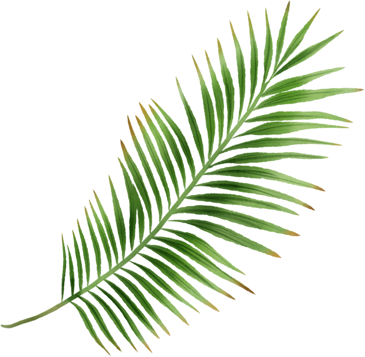 Watercolor Illustration of Green Palm Leaves